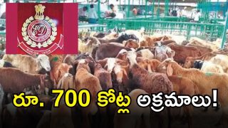 Sheep Distribution Scam ( IMAGE CREDIT: SWETCHA REPORTER)