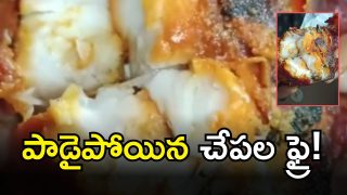 Bhadradri Kothagudem ( IMAGE credit: swetcha reporter)