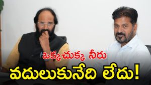 CM Revanth Reddy ( IMAGE credit: swetcha reporer)