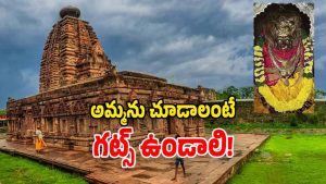 Jogulamba Temple (Image Source: Twitter)