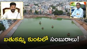 CM Revanth Reddy ( MAGE credit: swetcha reporter)