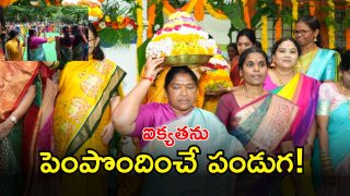 Seethakka ( IMAGE CREDIT: SWETCHA REPORTER)
