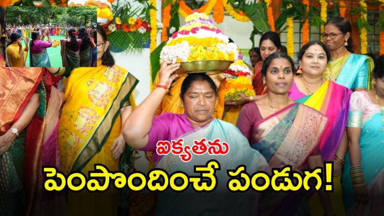 Seethakka ( IMAGE CREDIT: SWETCHA REPORTER)