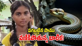Uttar Pradesh: బాలికను వెంటాడుతున్న పాము.. 40 రోజుల్లో 9 సార్లు కాటు.. అంతుచిక్కని మిస్టరీ!