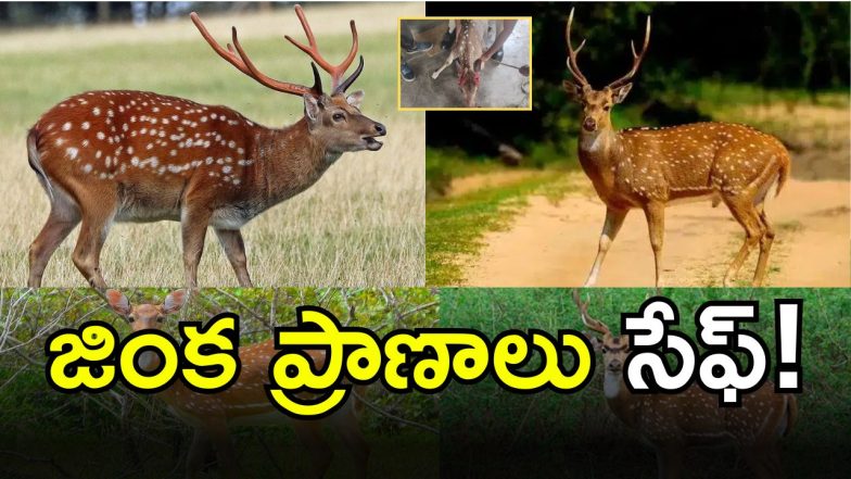 Khammam( IMAGE credit: twitter or swetcha treporter)