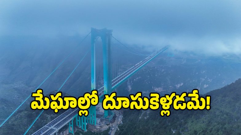 World's Tallest Bridge (Image Source: Twitter)