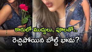 Telugu Heroine ( Image Source: Twitter)