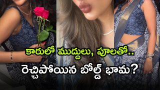 Telugu Heroine ( Image Source: Twitter)