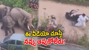 Viral Video