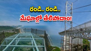 Kailasagiri Skywalk (Image Source: twitter)