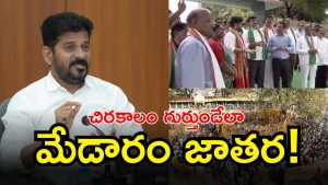 CM Revanth Reddy ( IMAGE credit: swetcha swetcha reporter or twitter)