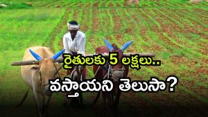 farmers ( Image Source: Twitter)
