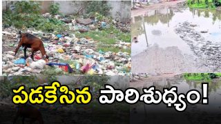 Sanitation Crisis(IMAGE CREDIT: SWETCHA REPORTER)