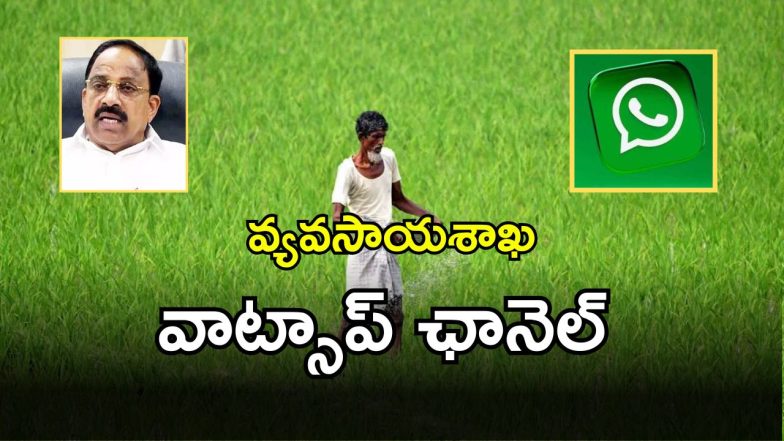 Tummala Nageswara Rao (imagecredit:twitter)