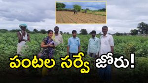 Digital Crop Survey( iMAGE xredit: swethareporter)