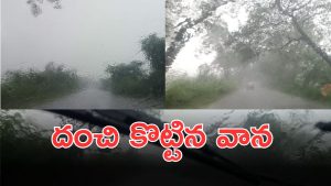 Heavy Rains (imagecredit:swetcha)