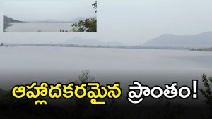 Kambalapalli Lake ( iMAGE credit: swetcha reporter)