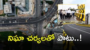 Flyovers Safety (imagecredit:swetcha0