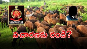 BRS Sheep Scam (imagecredit:twitter)