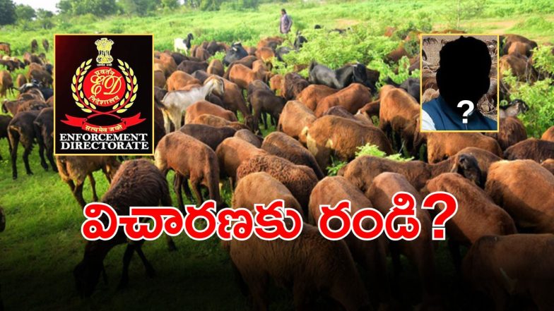 BRS Sheep Scam (imagecredit:twitter)