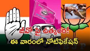 Local Body Elections (imagecredit:twitter)