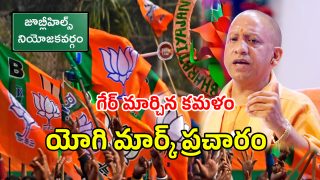 Telangana BJP (imagecredit:twitter)