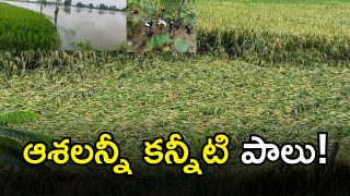 Bhadradri Kothagudem (IMAGE CREDIT; SWETCHA REPORTER)