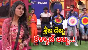 Bigg Boss 9 Telugu (Image Source: Youtube)