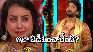 Bigg Boss Telugu 9 (Image Source: X)