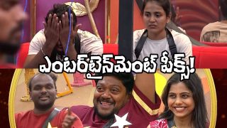 Bigg Boss Telugu Day 31