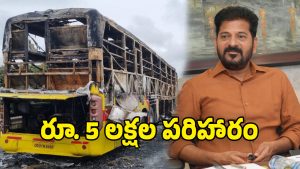 Kurnool Bus Fire Accident (Image Source: Twitter)