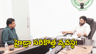 Deputy CM Pawan Kalyan ( image credit: swetcha reporter)