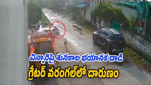 Dogs-Attack (Image source Whatsapp)