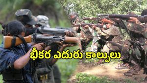 Maoists Killed (imagecredit:twitter)