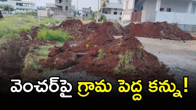 Gadwal ( IMAGE CREDIT: SWETCHA REPORTER)