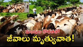 Jogulamba Gadwal ( image credit; swetcha reporter)