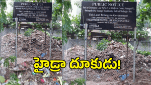 Hydra ( IMAGE CREDIT: SWETCHA REPORTER)