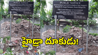 Hydra ( IMAGE CREDIT: SWETCHA REPORTER)