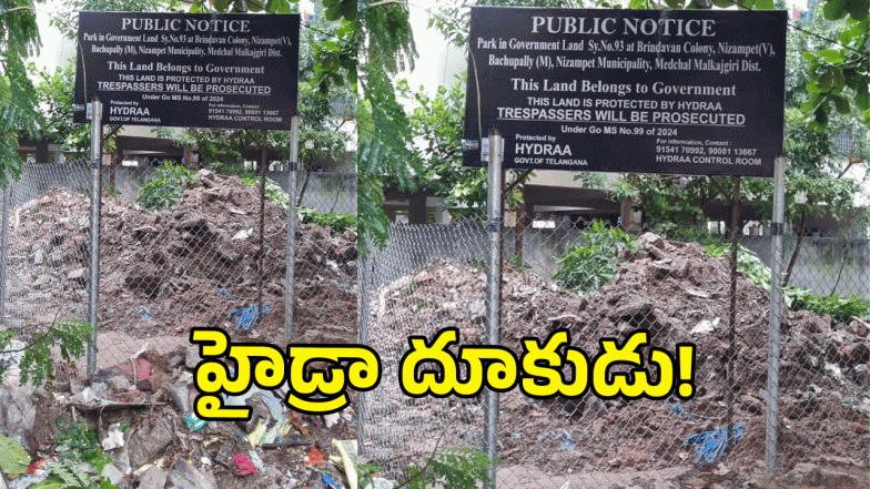 Hydra ( IMAGE CREDIT: SWETCHA REPORTER)