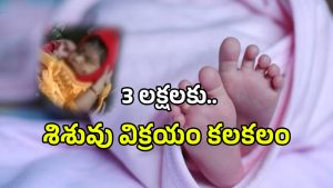 Baby Sale Case (imagecredit:twitter)