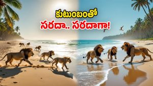 Lions In Beach (Image Source: AI)