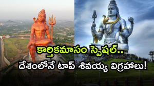 Lord Shiva ( Image Source: Twitter)