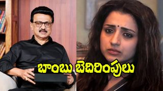 MK Stalin and Trisha