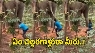 Viral Video (Image Source: Insta Video)