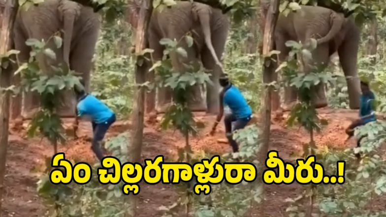 Viral Video (Image Source: Insta Video)