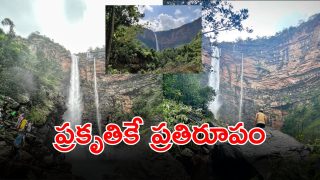 Nambi Waterfall (imagecredit:swetcha)