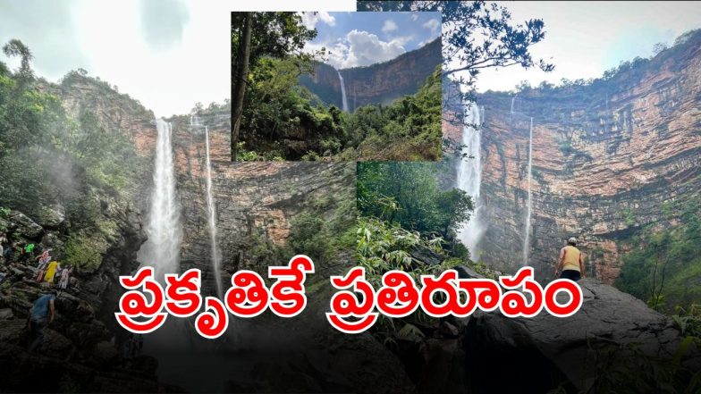 Nambi Waterfall (imagecredit:swetcha)