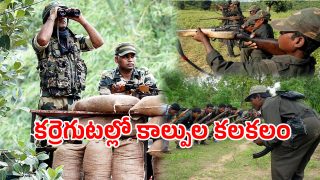 Naxal Operation (imagecredit:twitter)