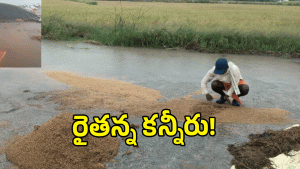 Montha Cyclone ( image credit: swetcha reporter)