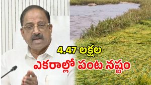 Tummala Nageswara Rao (imagecredit:swetcha)